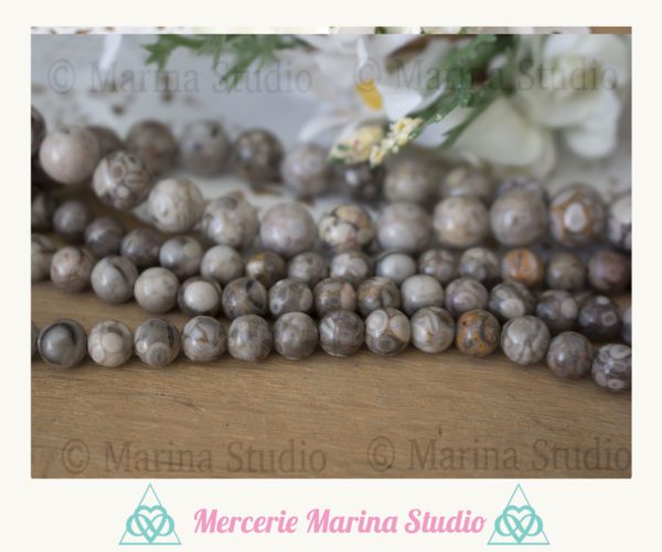 Lot de 10 perles en crinoïde 8mm ou 6mm perles corail fossile