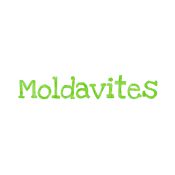 Moldavite